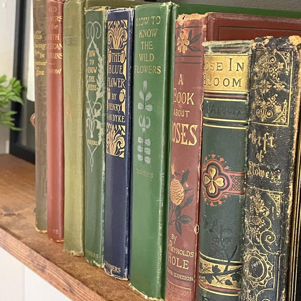 Tips for gifting and decorating with antique books