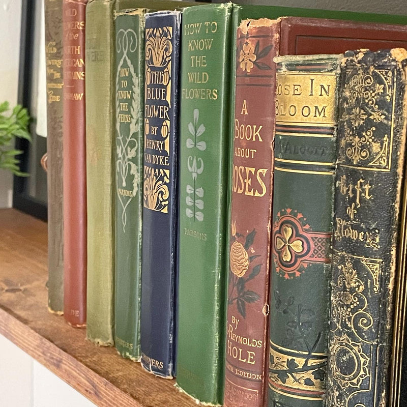 Tips for gifting and decorating with antique books– Alison Rose