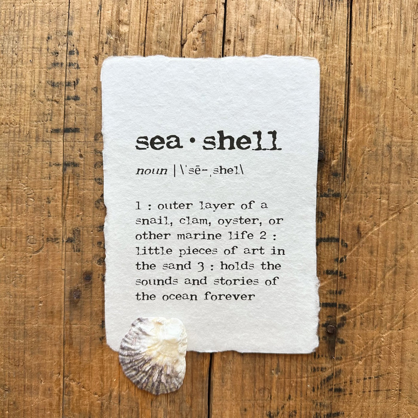 seashell definition print in typewriter font on handmade paper– Alison ...