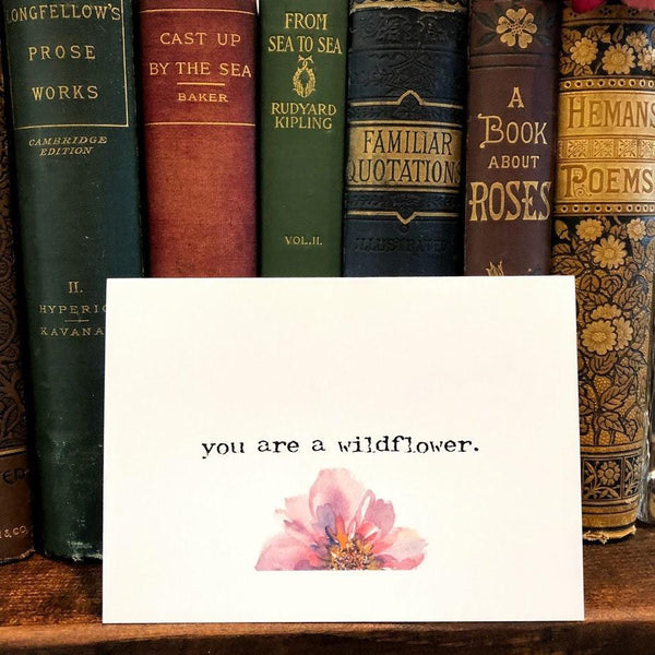 you are a wildflower compliment greeting card in typewriter font with original wildflower watercolor, envelope and rose sticker, 4x5.5 size - Alison Rose Vintage